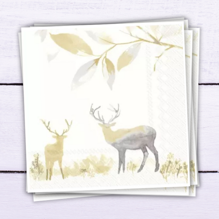 Charity Cards and Gifts