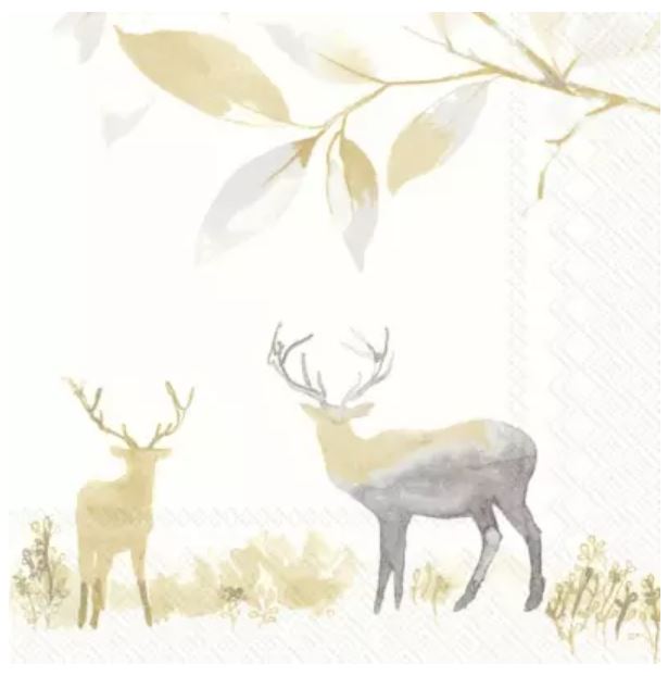 Charity Cards and Gifts