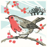 Charity Christmas Cards Packs