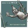 Birthday card with grey background and an illustration of a sloth hanging on a branch whilst wearing a party hat and holding a drink. Text reads Born to be Wild, but taking it slow.