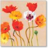 Bright Poppies Everyday Single Card-0