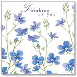 Forget Me Not Thinking Of You Single Card-0
