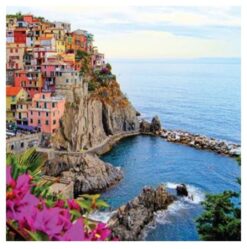 Village Of Manarola Italy Everyday Single Card-6831