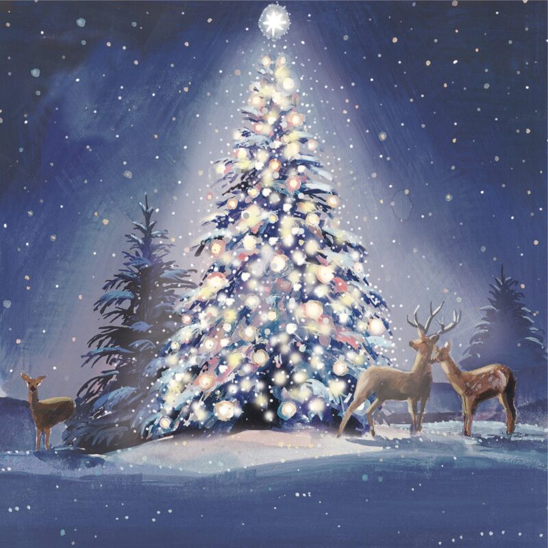 Charity Cards and Gifts
