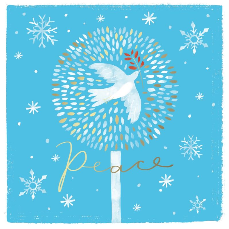 Charity Cards and Gifts