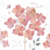 With Love Hydrangeas- Cards for Good Causes Charity Single Card - Plastic Free-0