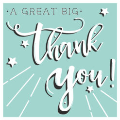 A Great Big Thank You - Thank You Single Card-0