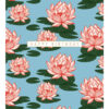 Birthday card with illustration of pink water lillies againts a pale blue background. A white banner in the centre has the text Happy Birthday,