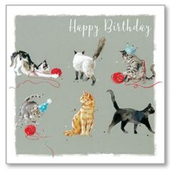 Play Time - Happy Birthday Single Card-0