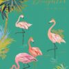 Birthday card featuring bright pink flamingos against a green background, Text reads 'For a Wonderful Daughter Happy Birthday'.