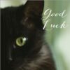 Good luck card with a close up photograph of a black cat. Text on the front reads Good Luck.