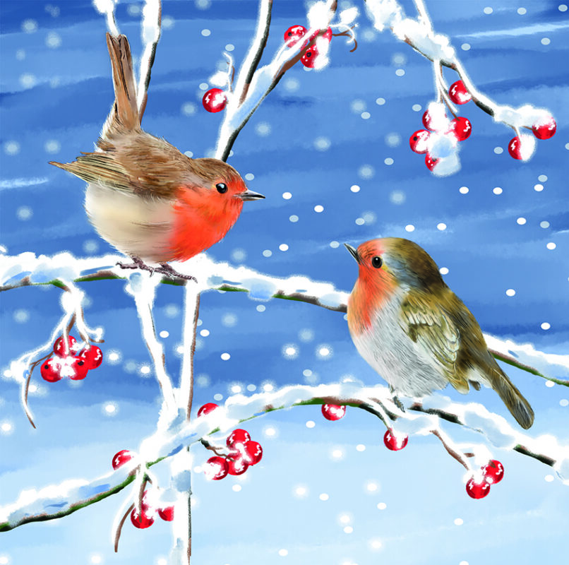 Charity Cards and Gifts