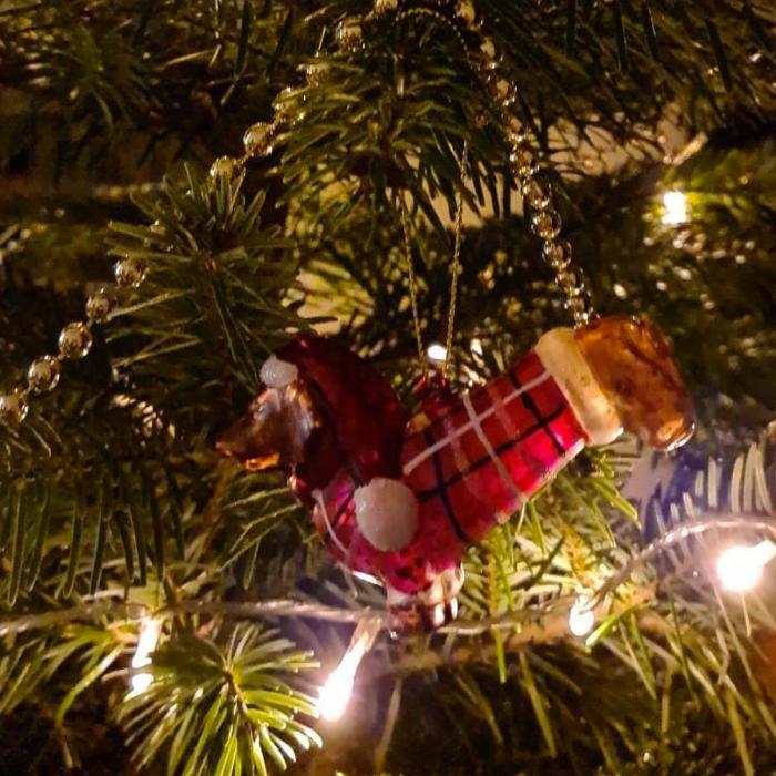 Charity Cards and Gifts