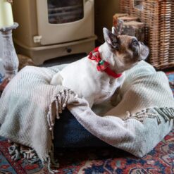 Tartan Pet Bow Tie-9821