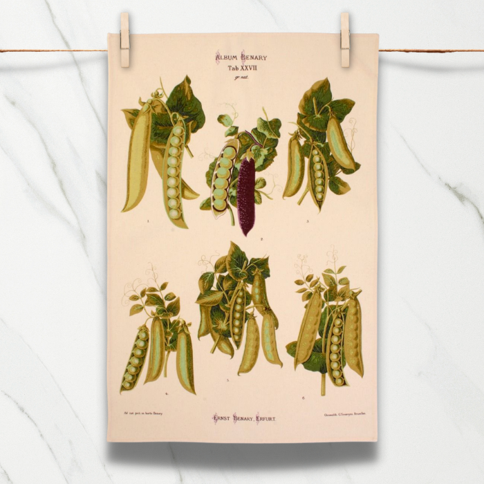 Charity Cards and Gifts