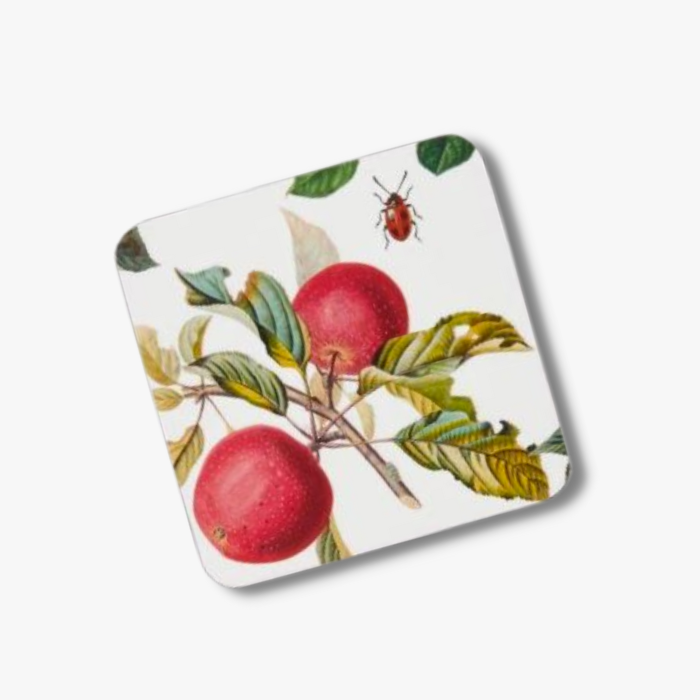 Charity Cards and Gifts