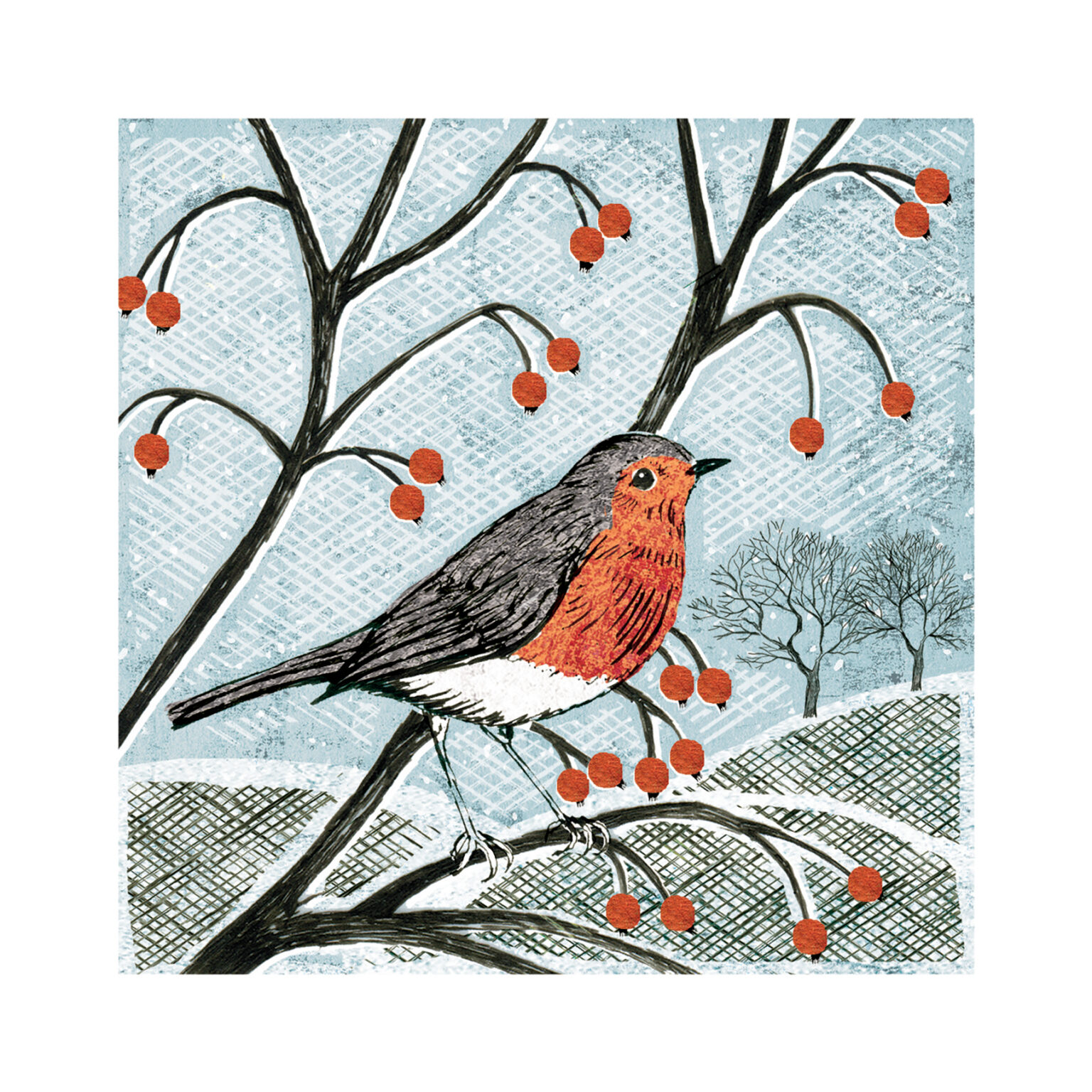 A robin perches on a tree branch which is laden with red berries.