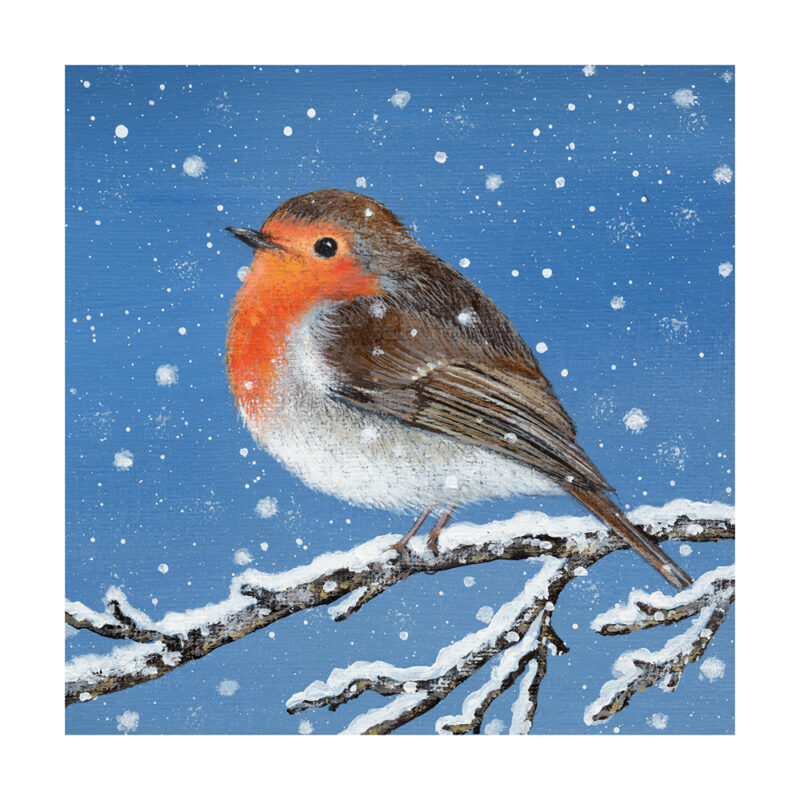 Charity Cards and Gifts