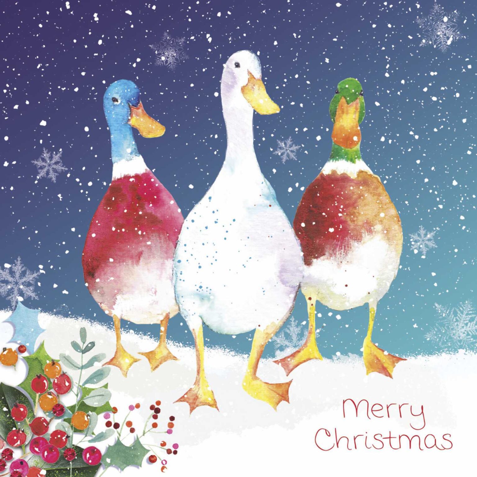 Christmas Quackers - Crisis Charity Christmas Cards - Pack of 10-0