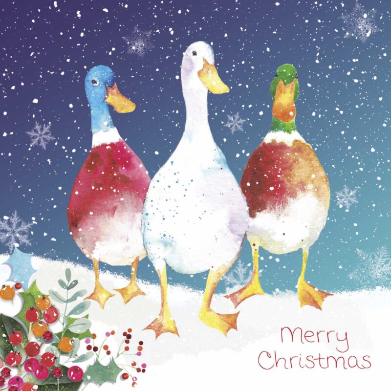 Charity Cards and Gifts