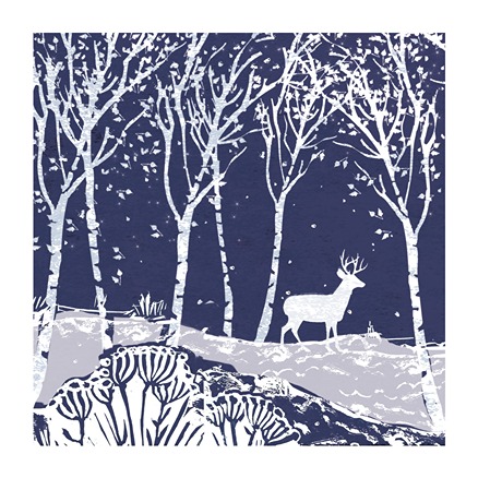 Charity Cards and Gifts