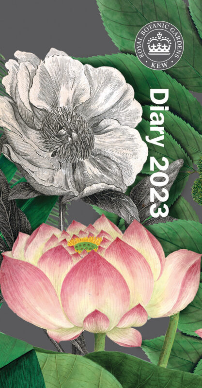 Charity Cards and Gifts