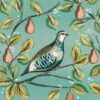 Peppermint Partridge - Diabetes UK Charity Christmas Cards - Pack of 10-0