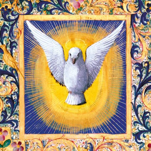 The Holy Spirit - Marie Curie Charity Christmas Cards - Pack of 10-0