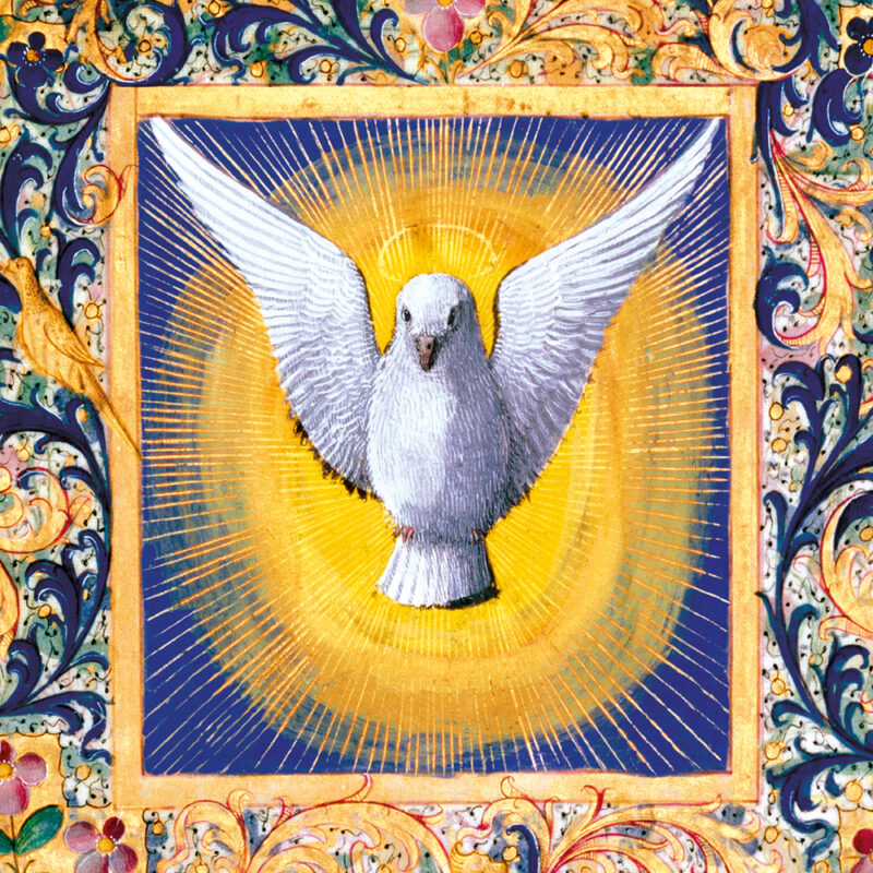 Charity Cards and Gifts