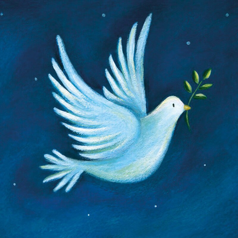 Charity Cards and Gifts