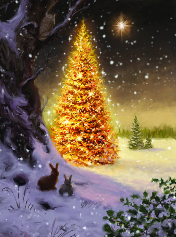 Charity Cards and Gifts