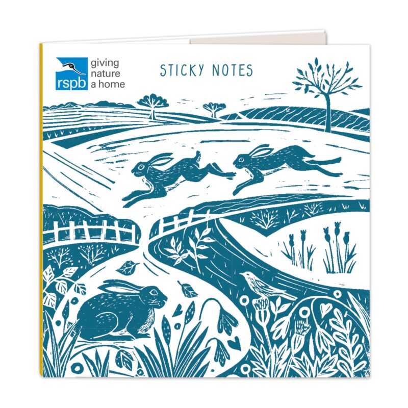 Charity Cards and Gifts