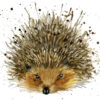 Greetings card featuring an illustration of a hedgehog.