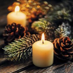 Candles and Pine Cones - Amnesty Charity Christmas Cards - Pack of 10-0