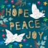 Hope, Peace, Joy - Amnesty Charity Christmas Cards - Pack of 10-0