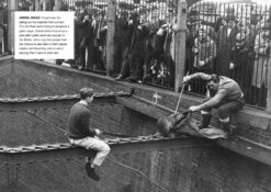 Excerpt from the book 'A childhood in the 60s'. The image shows a crowd looking on from behind railings at London Zoo as two men try to recapture a giant coypu.