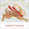 Cartoon illustration of a hare wearing a red woolly scarf as it hops through the snow. Text at the bottom reads Season's Greetings.