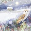Owl on Christmas Eve - Cards for Good Causes Charity Christmas Cards - Pack of 10-0