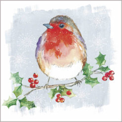 Illustration of a robin red breast perched on a branch of holly.