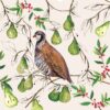 A partridge sitting in a pear tree.