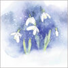 Illustration of snowdrops against a blue background with snow flakes falling all around.