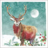 Majestic Deer - Cancer Research Charity Christmas Cards - Pack of 10-0