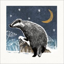 The Badger - Cancer Research Charity Christmas Cards - Pack of 10-0