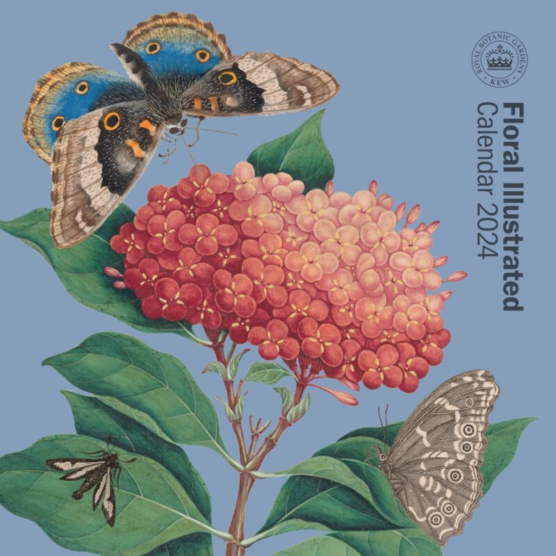 Charity Cards and Gifts