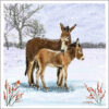 Illustration of two donkeys standing in a snowy field and a little robin perches on a berry branch.