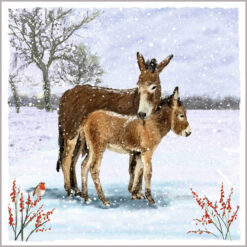 Illustration of two donkeys standing in a snowy field and a little robin perches on a berry branch.
