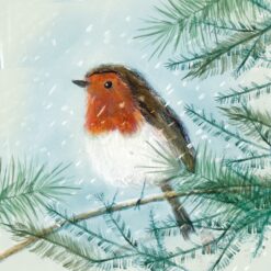 Robin In The Fir Tree - Epilepsy Action Charity Christmas Cards - Pack of 10-0