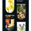 6 themed magnetic mini-bookmarks with a gardening them. The little magnets grip the page. Designs on each magnet include Daffodils, freshly dug potatoes, wellie boots and gardening tools, flower pots and crocuses, a sunflower and a seedling.
