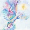 Rainbow Dove - Hospice UK Charity Christmas Cards - Pack of 10-0
