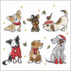 Happy Howl-idays! - Macular Society Charity Christmas Cards - Pack of 10-0